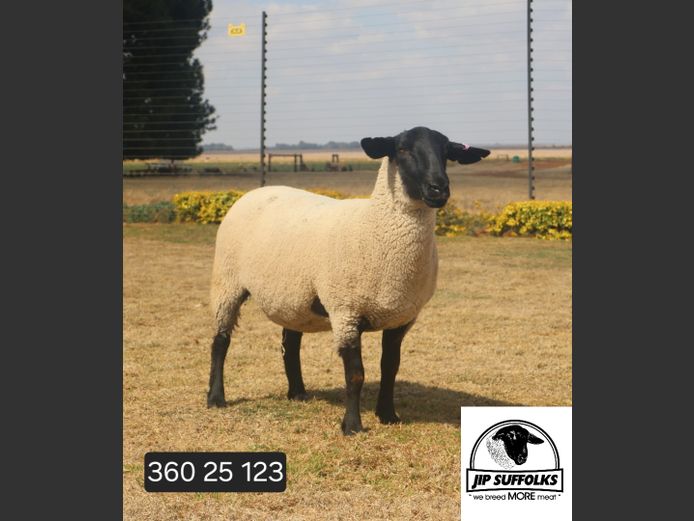 360250123 | J.I. POTGIETER