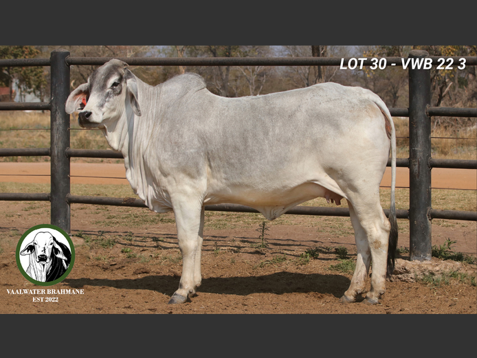 VWB223 | MNR. H.A. KLOPPERS