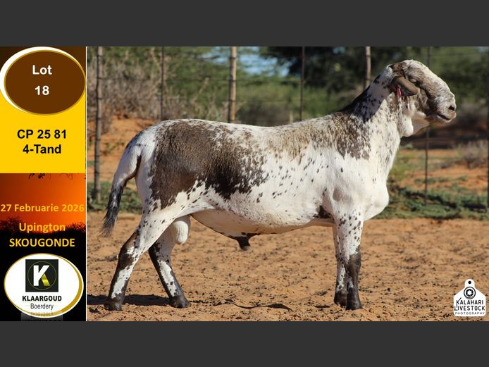 CP25 81 | Chris Potgieter & Christia Scholtz - Klaargoud Boerdery