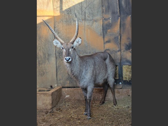 WATERBOK | HUGOMOND BOERDERY