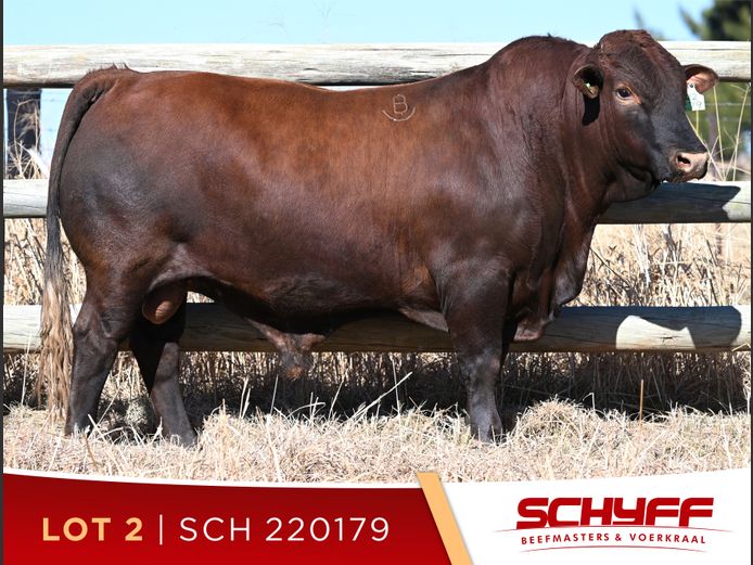 SCH 220179