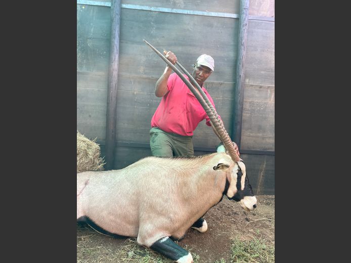 Gemsbok | Weltevrede (J Marx)