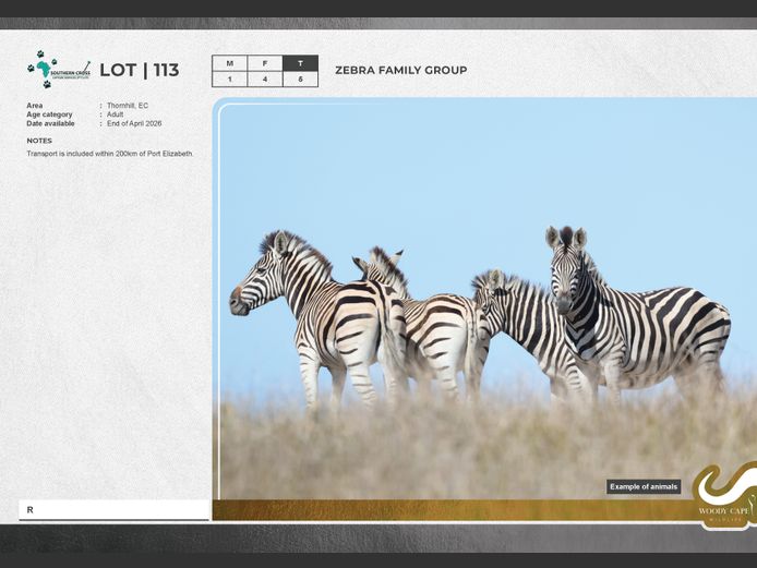 Zebra | SC Capture and transport Pty Ltd