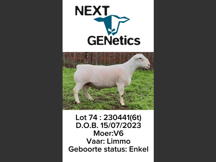 230441 | NEXT GENETICS