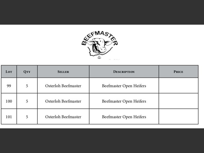 OSTERLOH BEEFMASTER OPEN HEIFERS (5)