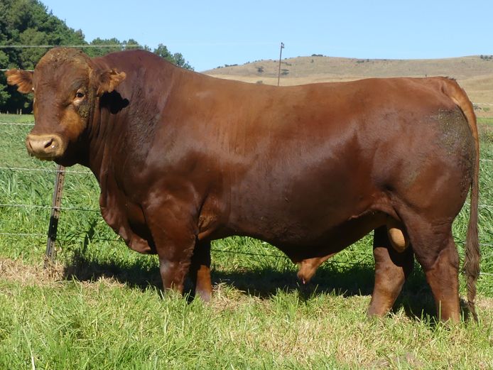 LAR 230192 | UP GEORGE FARMS CC