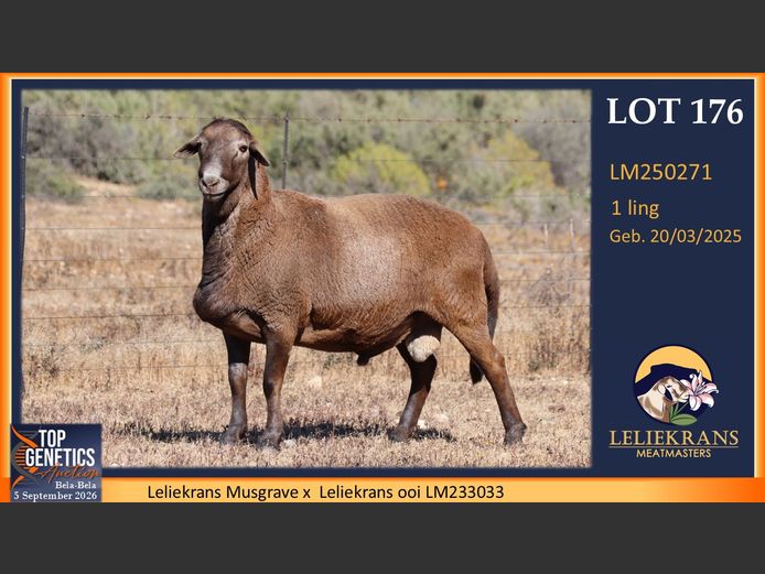 LM250271 | LELIEKRANS MEATMASTERS