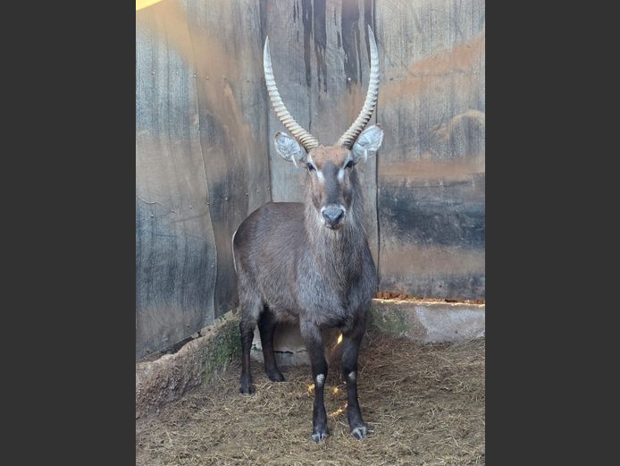 WATERBOK | HUGOMOND BOERDERY