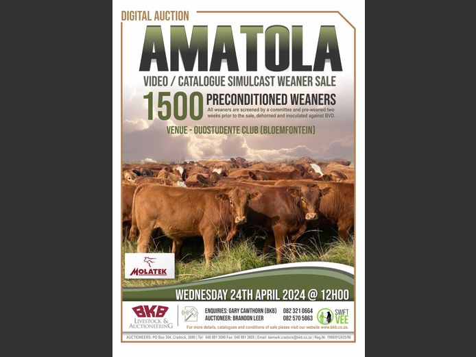 AMATOLA WEANER VIDEO/CATALOGUE SIMULCAST SALE