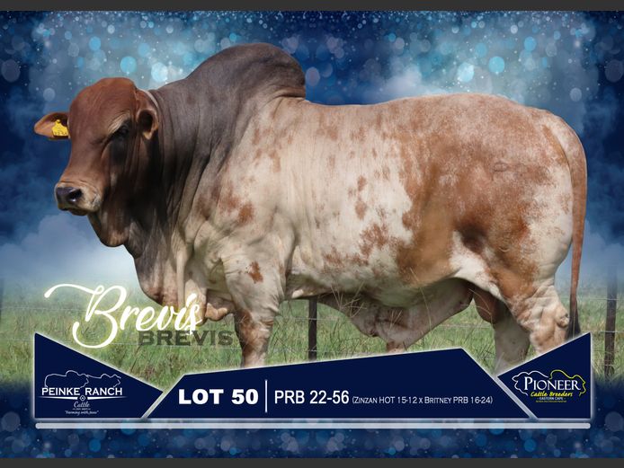 PRB 220056 | PEINKE RANCH