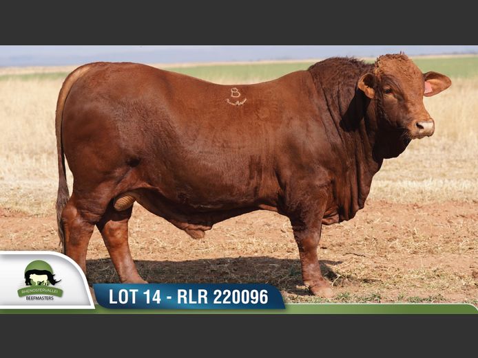 RLR 220096 | RHENOSTERVALLEI