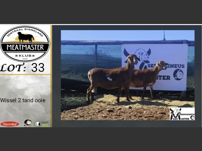 Ooie | Seeikoeineus Meatmasters