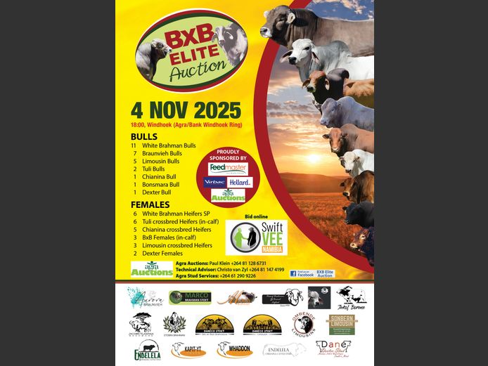 BXB ELITE AUCTION