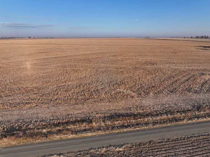 965.8311 Hectares - For Sale