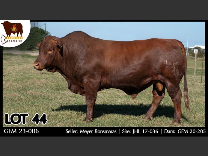 GFM 230006 | MEYER BONSMARAS