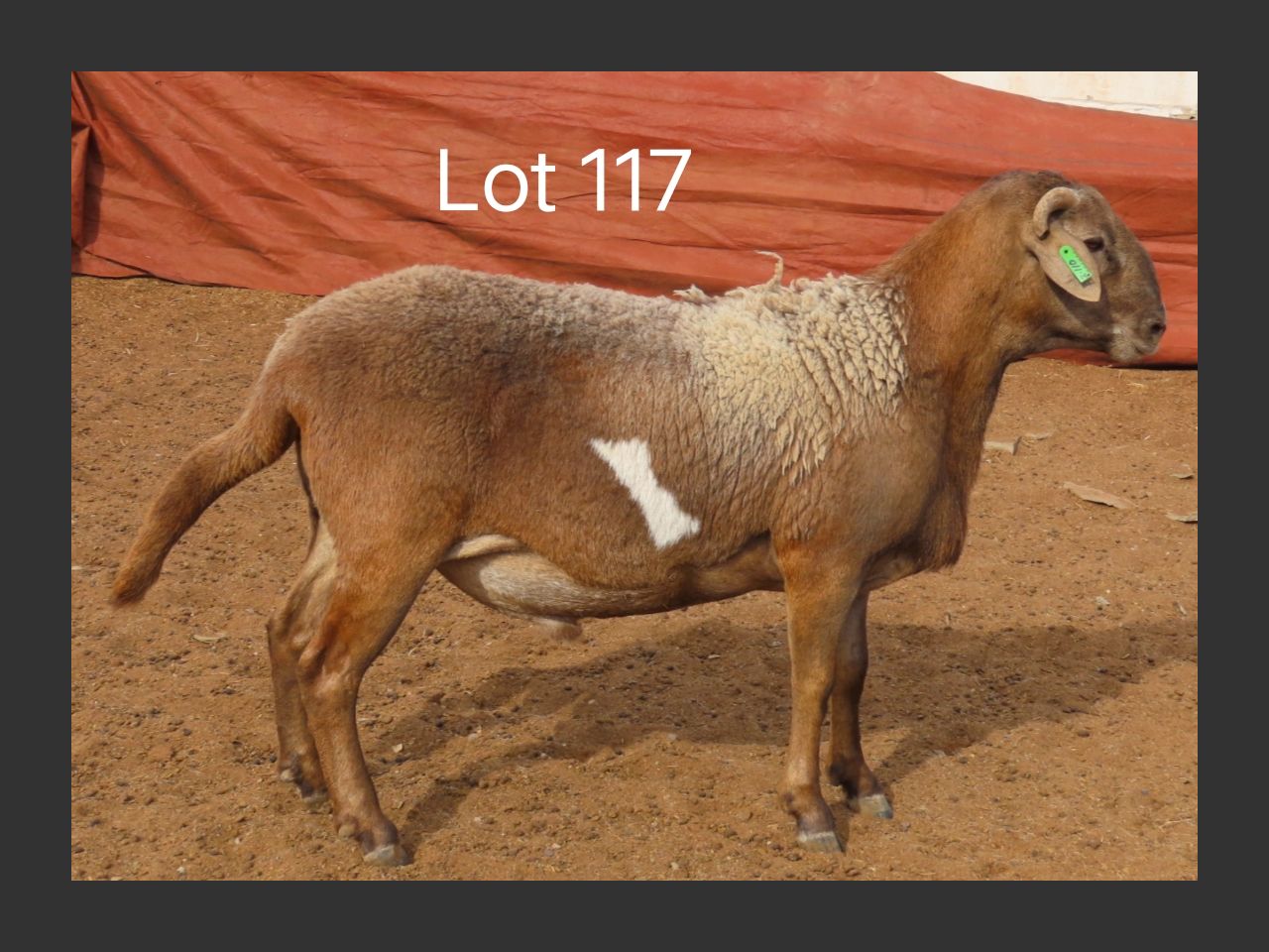 images