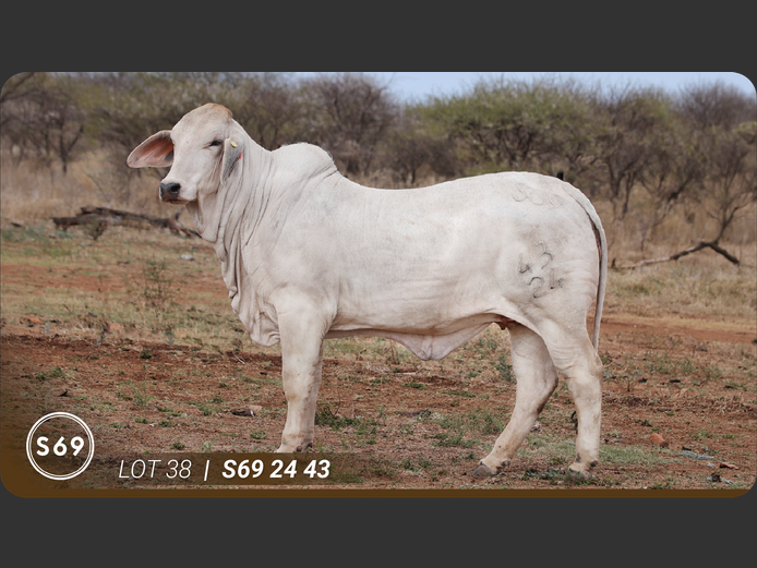 S692443 | JP Sakebelange BK
