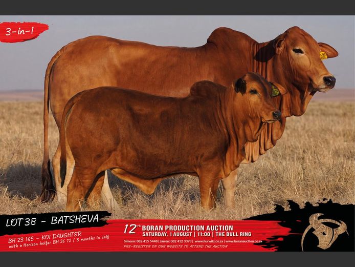 BH 230165 | HURWITZ FARMING