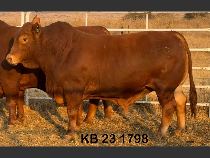 KB231798