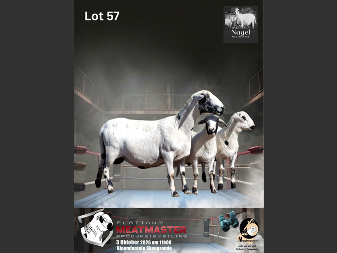 NM22 1587 | Nagel Meatmasters