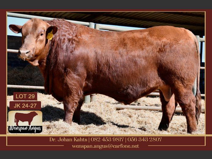 JK240027 | J. KAHTS