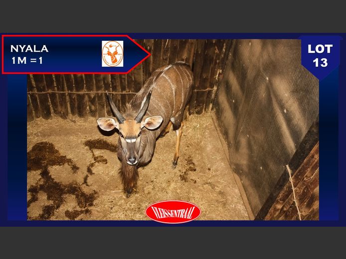 NYALA
