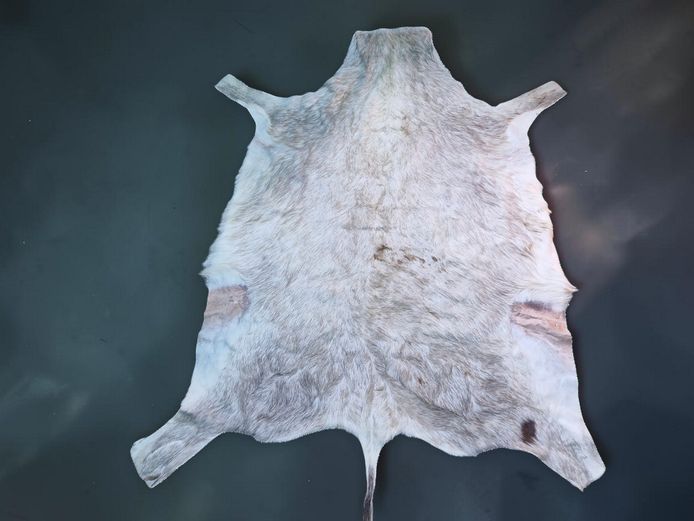 African Nguni Cowhide Hide Rug
