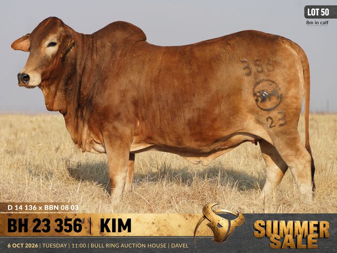 BH230356 | B. HURWITZ FARMING