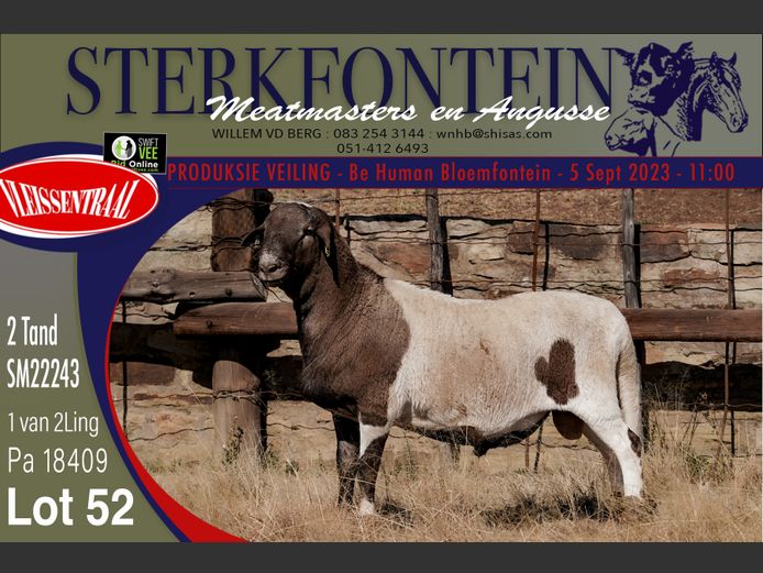 SM 22 243 | Sterkfontein Meatmasters