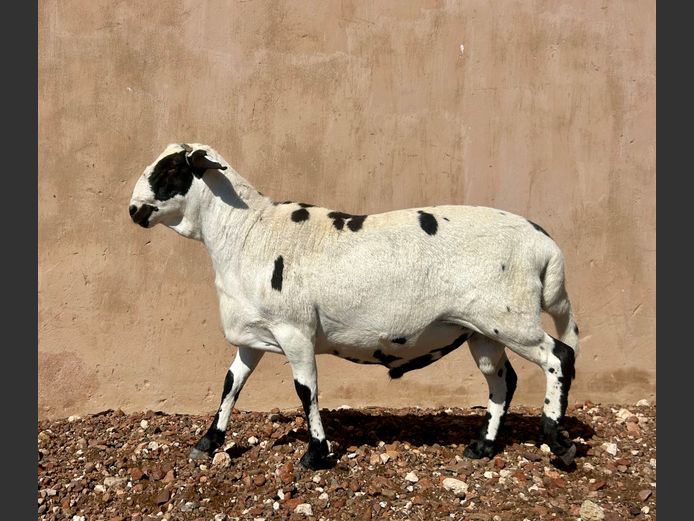 24 34 9 | UITZICHT BOERDERY