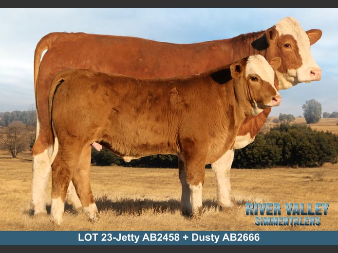 AB2458 | PA ABRAHAMSE