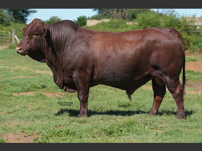 WVZ230104 | THUSO GRAAN EDMS BPK