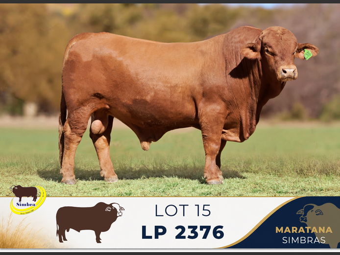 LP2376 | MARATANA BOERDERY (PTY) LTD