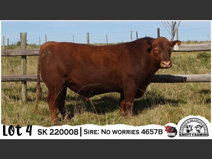 SK 220008