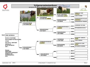 genetic_data