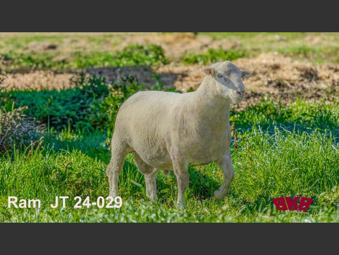 JT240029 | REMKUIL BOERDERY (EDMS) BPK