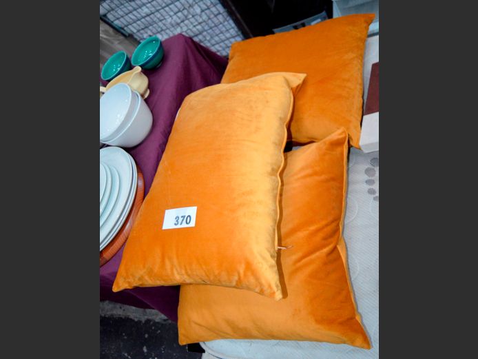 SET OF 3 VELVETEEN SCATTER CUSHIONS