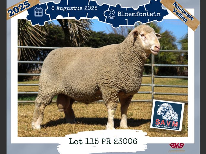 23-0006PR | WILSUNEL TRUST