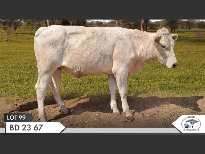 BD 230067 | VAN EYK FAMILIE TRUST