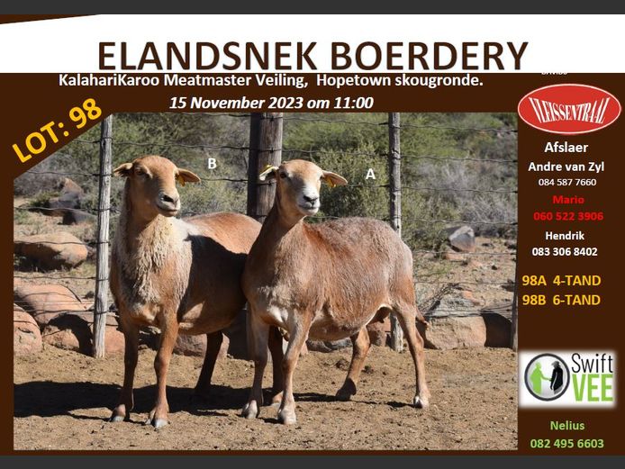 RSL 98 B | ELANDSNEK BOERDERY