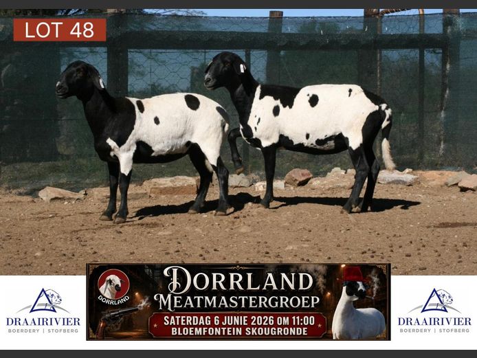 NS23-191 | Draairivier Boerdery