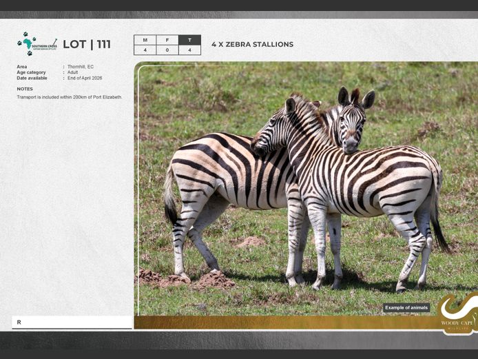 Zebra | SC Capture and transport Pty Ltd