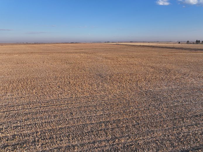 2 848.4981 Hectares - To Rent
