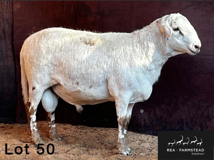 39 | Rea Farmstead