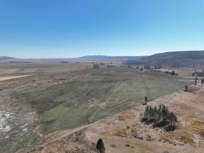 Ptn 1 Farm Gladstone 4331, GT, Ptn 1 Farm Scuur Rand No 2 7332, Ptn 1 Farm Scuur Rand No 2 7332, Reg. Div. GT