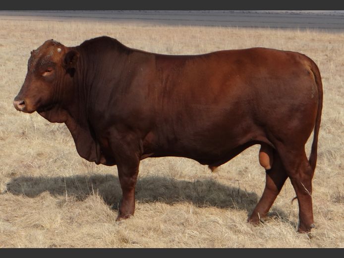 CCW 230070 Pp(c) | C. CILLIERS