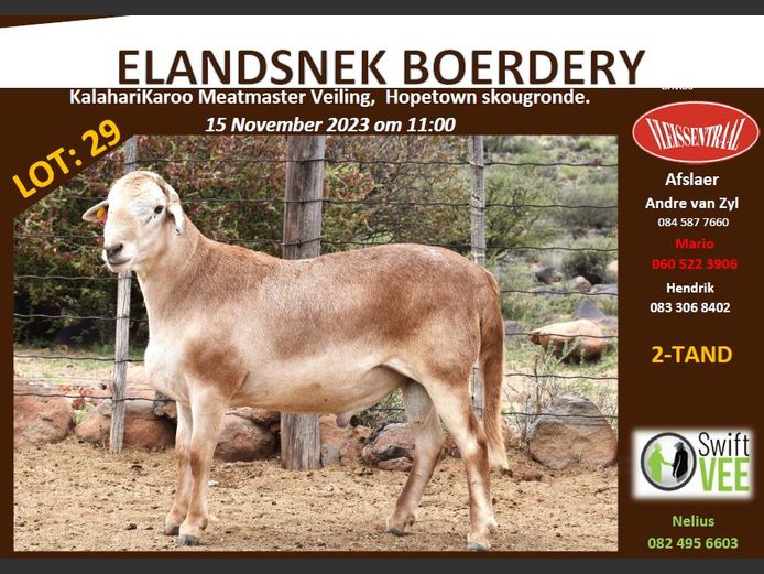 RSL PI161 | ELANDSNEK BOERDERY