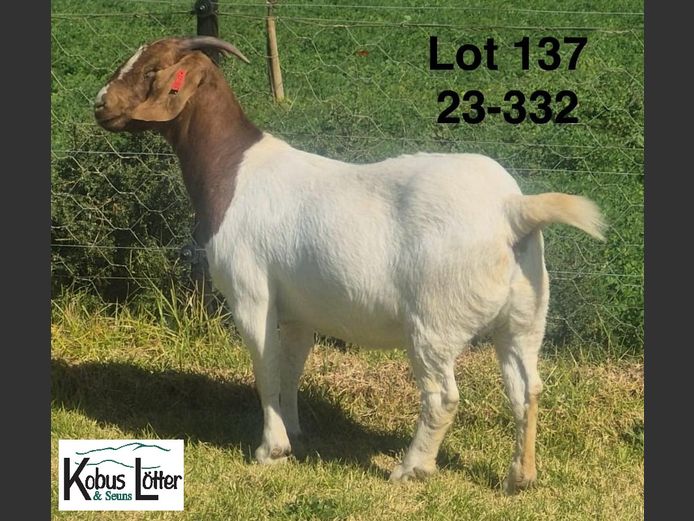 1384230332 | DIRK LOTTER