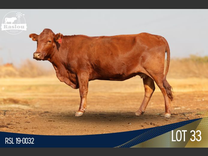 RSL 190032 | RASLOU BONSMARAS