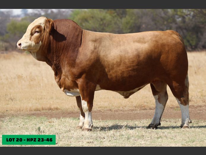 HPZ2346 | JP DU PREEZ BK